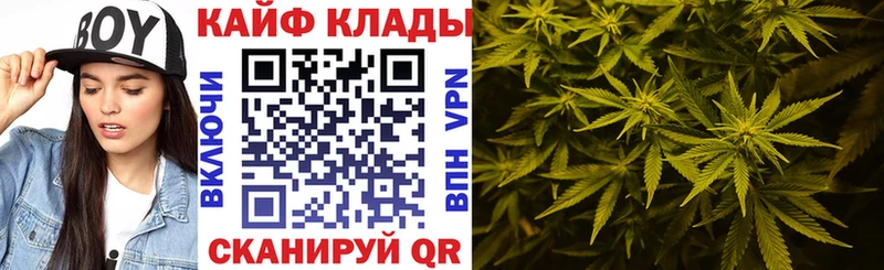 Наркошоп купить ГАШИШ  Меф  Жиздра