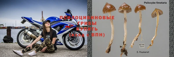 амфетамин Козловка