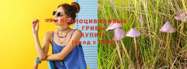 амфетамин Козловка