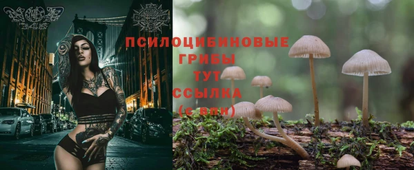 амфетамин Козловка