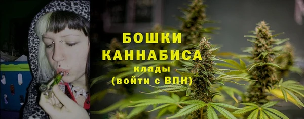 амфетамин Козловка