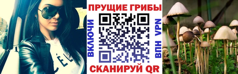 Галлюциногенные грибы GOLDEN TEACHER  Купить закладки  Жиздра 